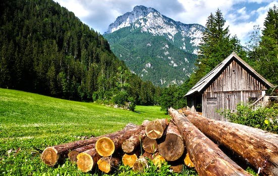 The Ultimate Guide to Mountain Cabin Accommodation